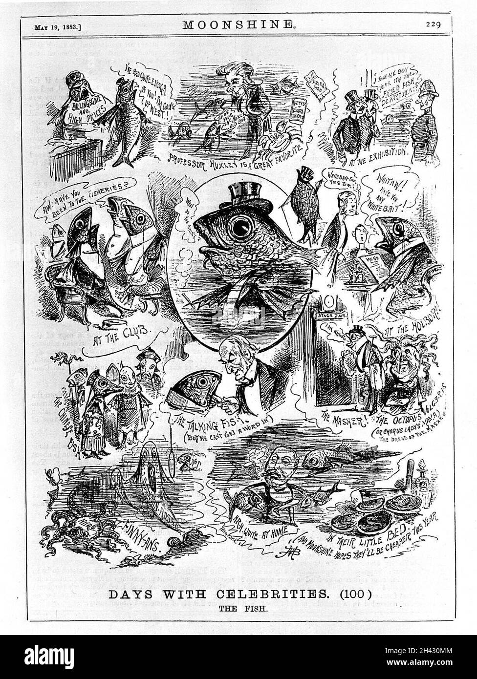 Caricatura di Thomas Henry Huxley. Foto Stock