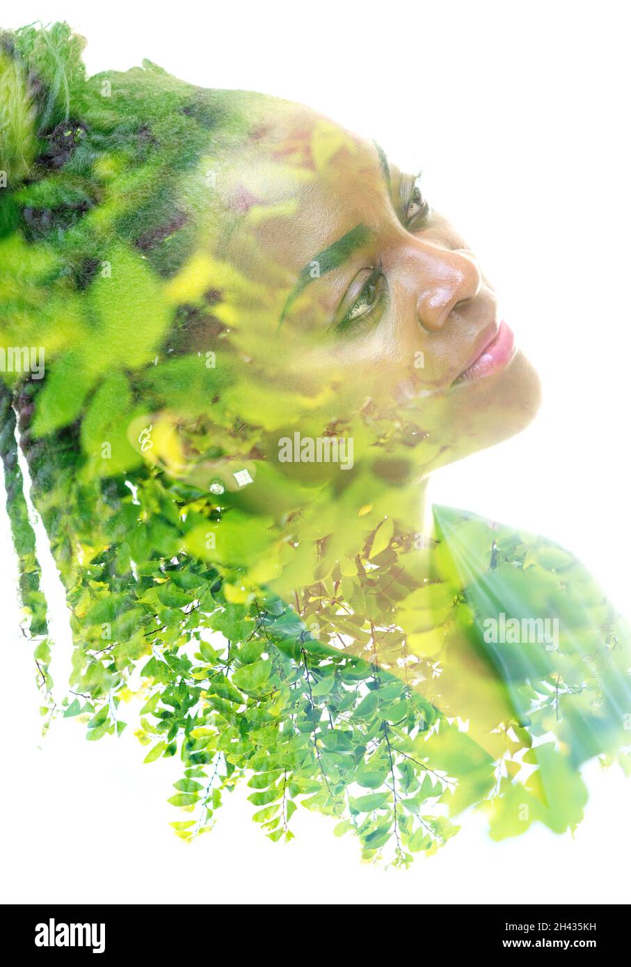 Un ritratto a doppia esposizione di un modello femminile combinato con un'immagine di ramoscelli verdi. La vita nella natura. Foto Stock