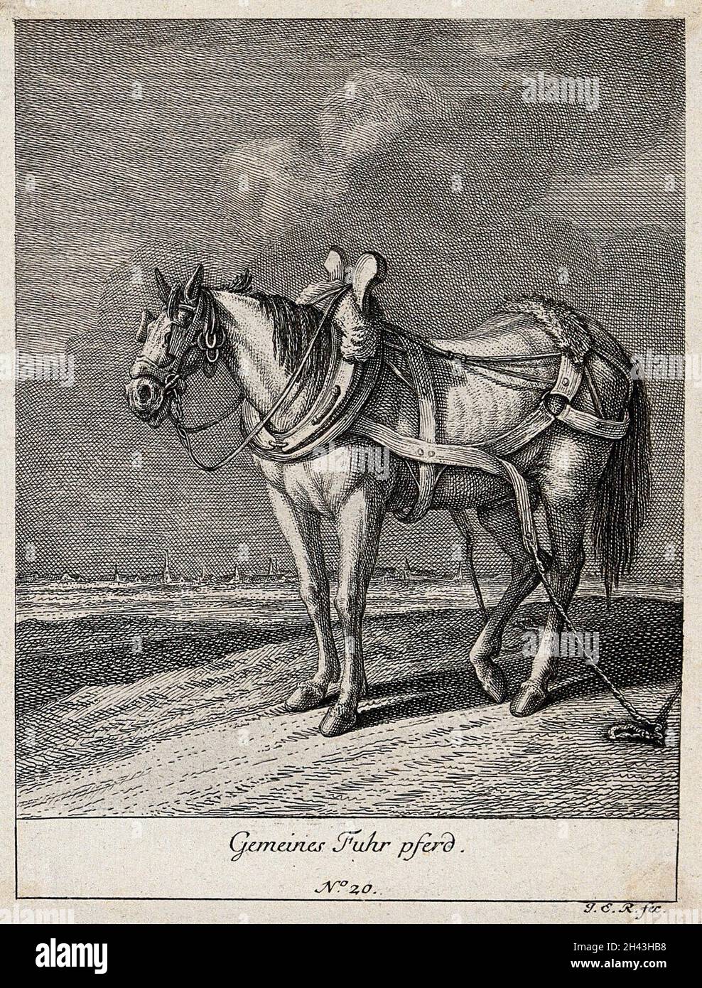 Un cavallo del carro con gli accecatori, il giogo e la cintura in piedi in un campo con la relativa cintura legata al terreno. Incisione di J. E. Ridinger. Foto Stock