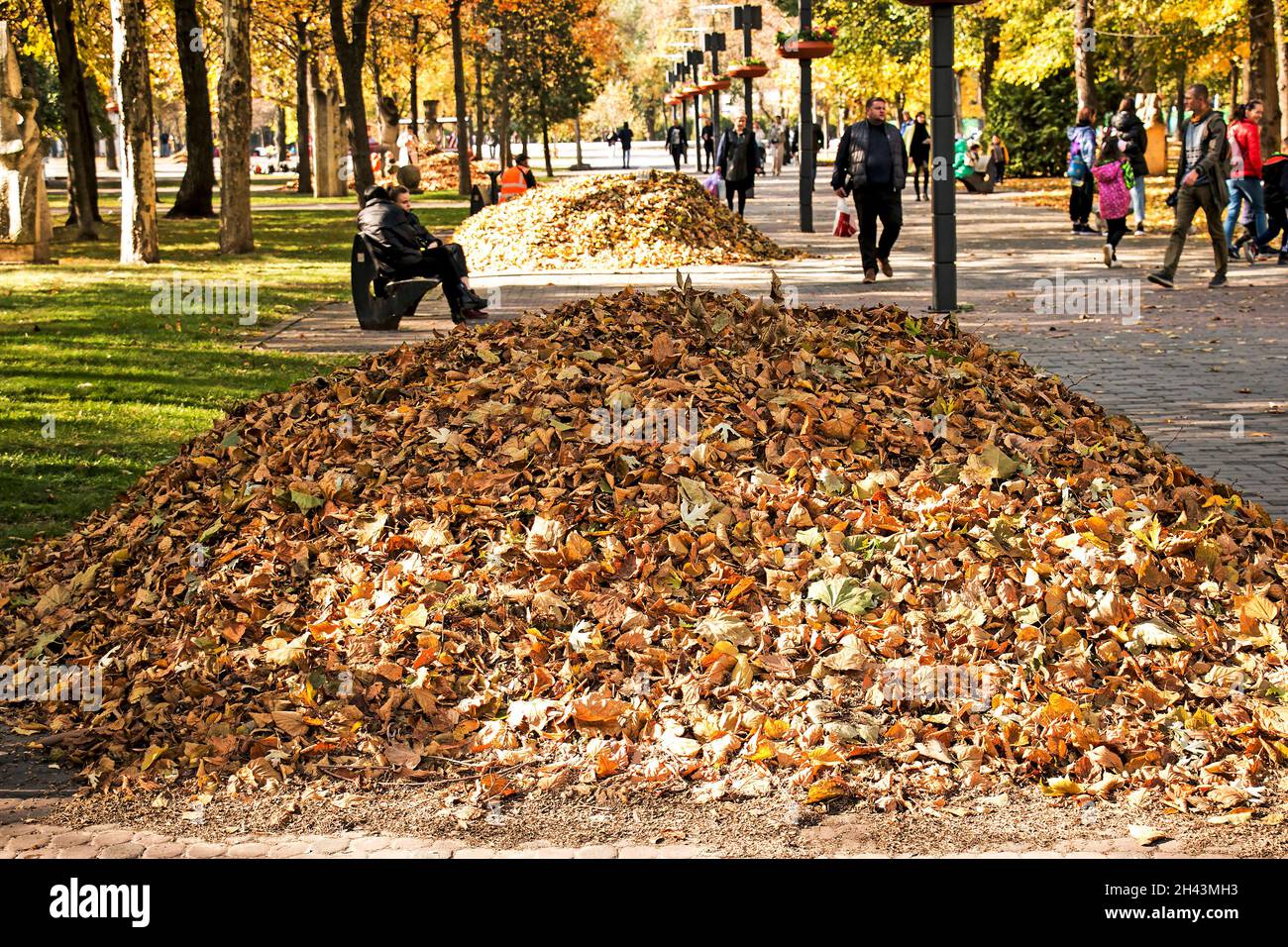 Dnepropetrovsk, Ucraina - 10.22.2021: Autunno caduto foglie secche raccolte in cumuli. Pomeriggio di sole nel parco. Foto Stock