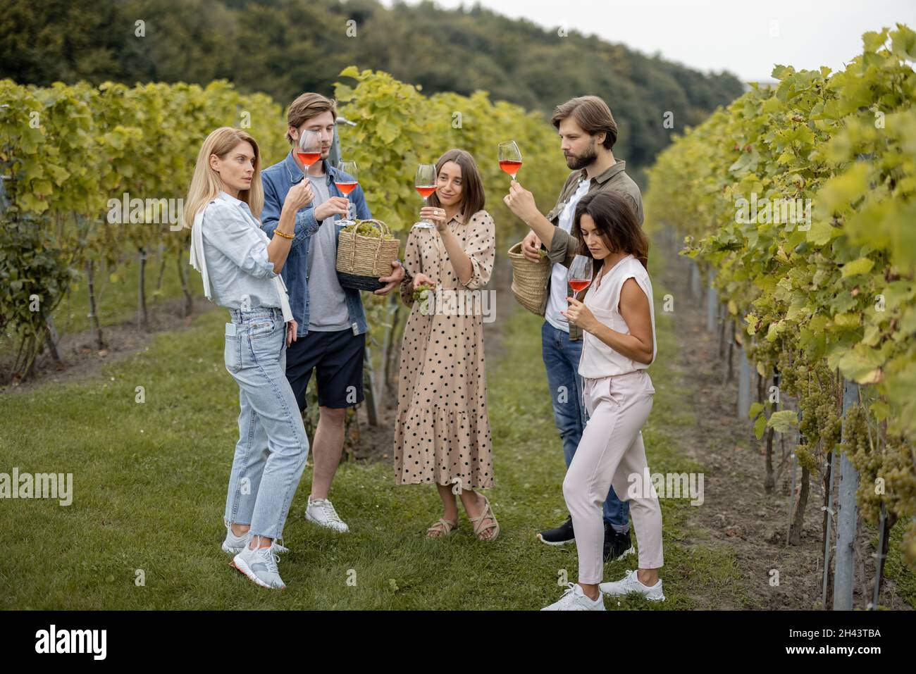 Amici degustare vino vicino vigneti in campagna Foto Stock