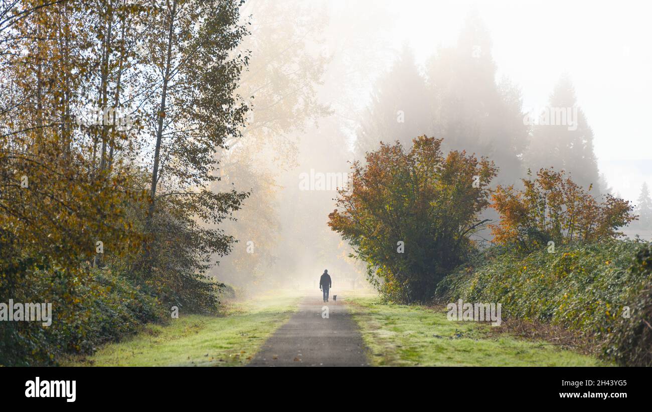 Garofano, WA, USA - 31 ottobre 2021; Un uomo con il suo cane cammina in lontananza in tarda caduta lungo il Sentiero della Valle di Snoqualmie. In una mattinata di nebbia Foto Stock