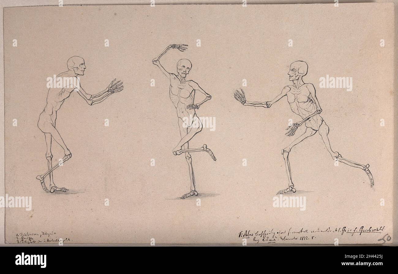 Tre studi di una figura scheletrica. Disegno a matita, 1812. Foto Stock