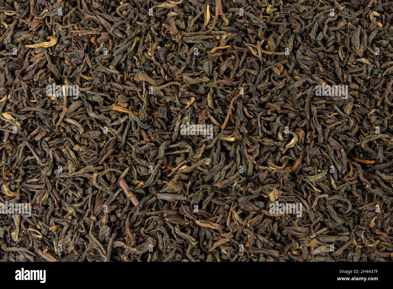 sfondo tè nero yunnan. Foto Stock