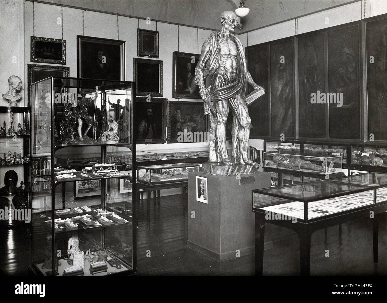 Wellcome Historical Medical Museum, Wigmore Street, Londra: Camera Anatomy al primo piano. Fotografia. Foto Stock