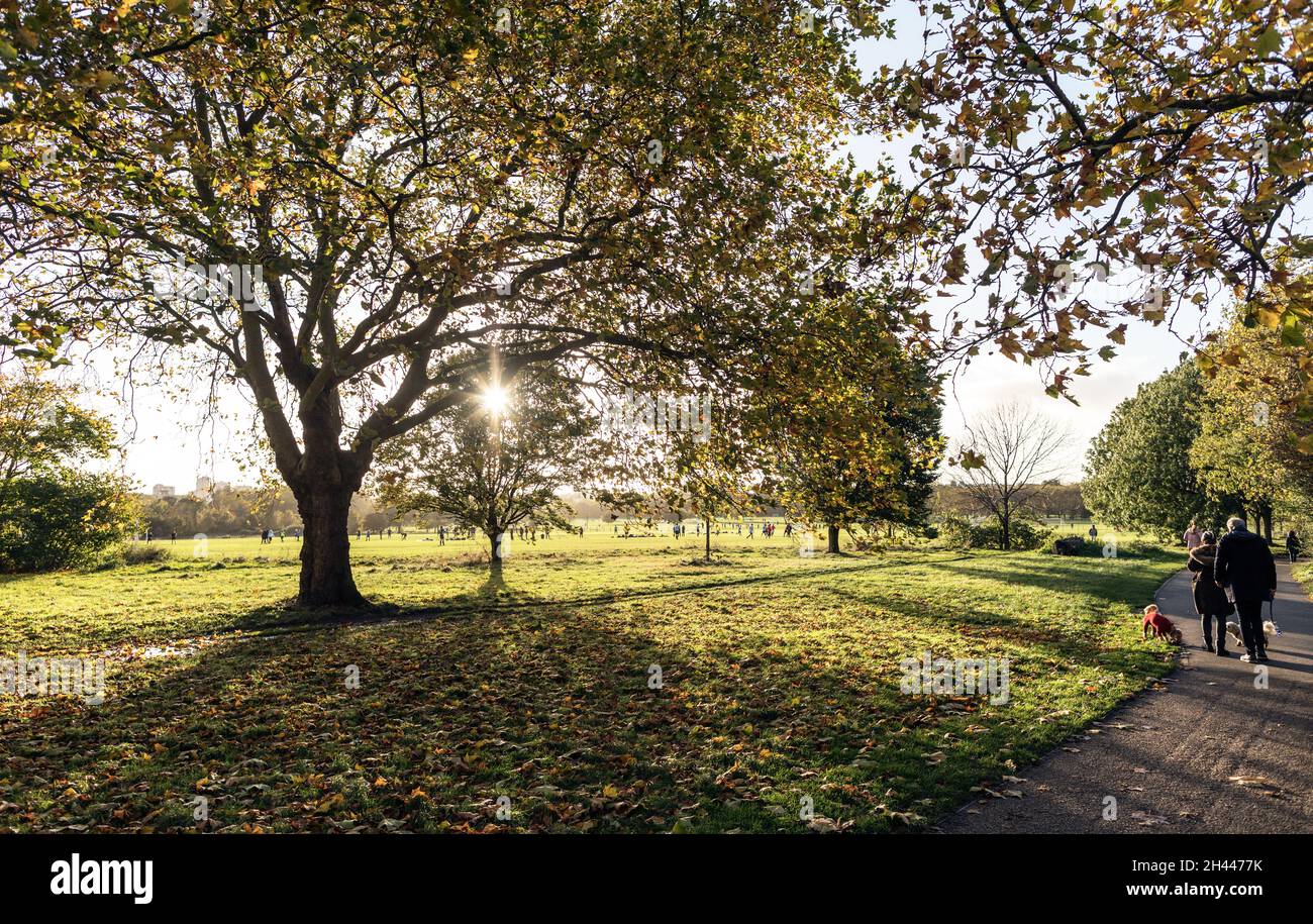 People Walking in Regents Park in autunno Londra Regno Unito Foto Stock