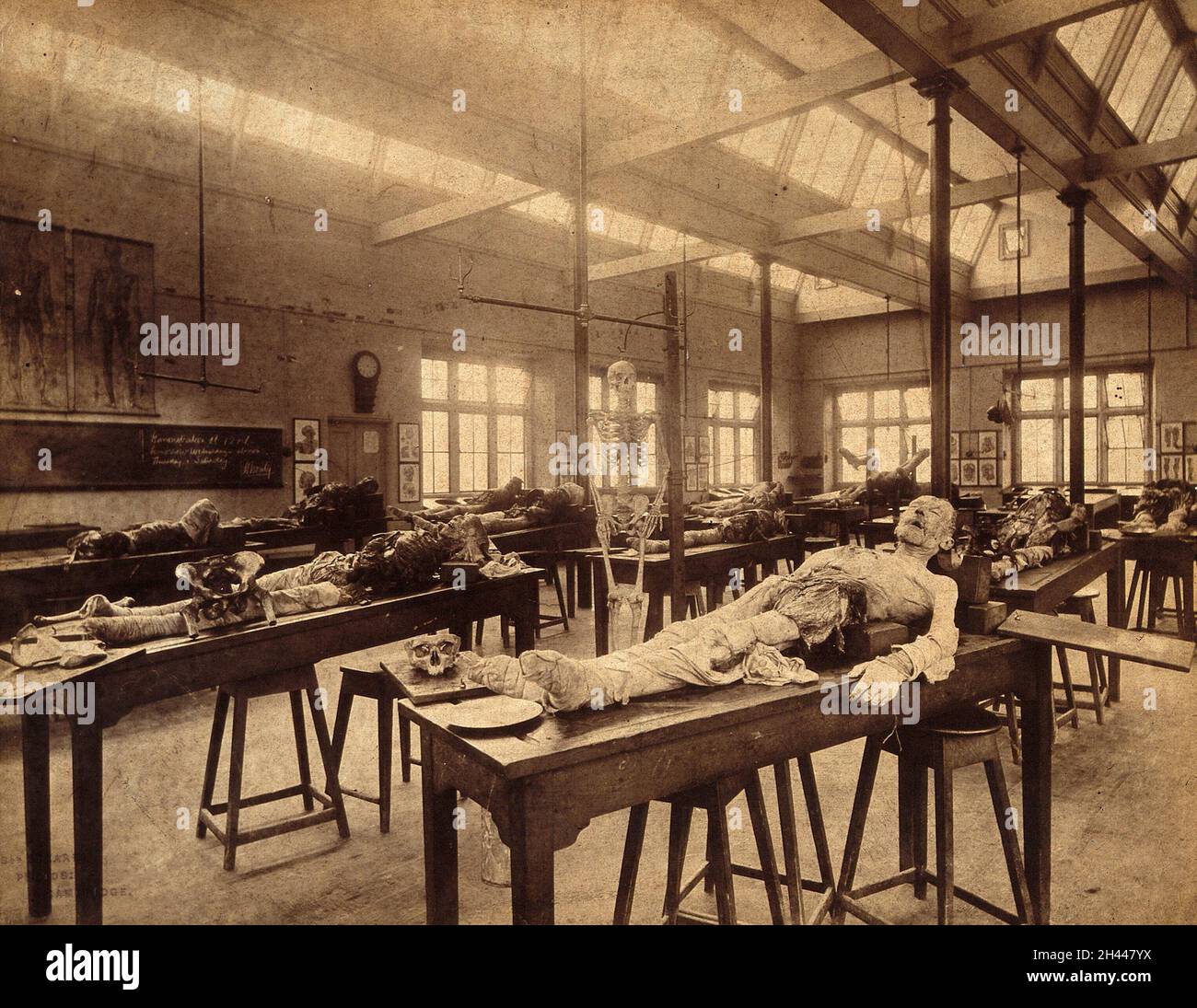 L'interno del Dipartimento di Anatomia dell'Università di Cambridge. Fotografia, 1888/1893. Foto Stock