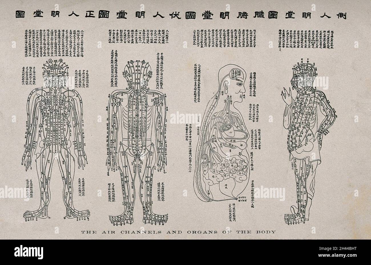 Grafico anatomico, che mostra i canali dell'aria e gli organi del corpo; quattro figure. Incisione in legno (?) Con la pressa della lettera su carta di riso, Ming 18--? Foto Stock