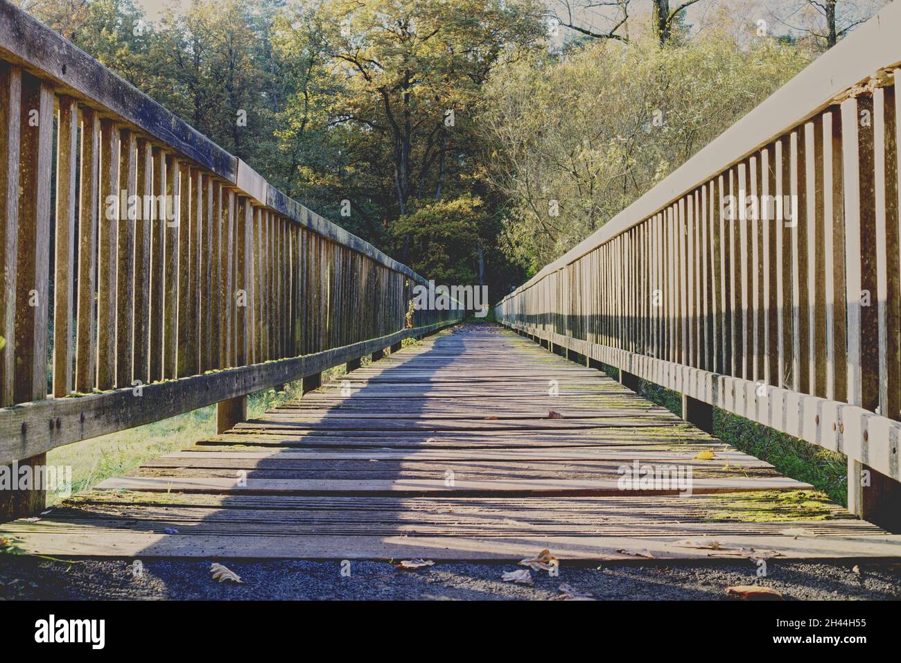 ponte di legno nei boschi Foto Stock