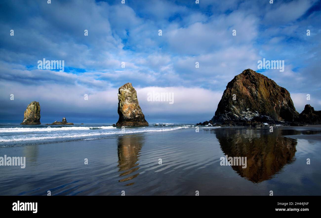 Haystack Rock in una mattinata di nebbia, Cannon Beach, Oregon Foto Stock