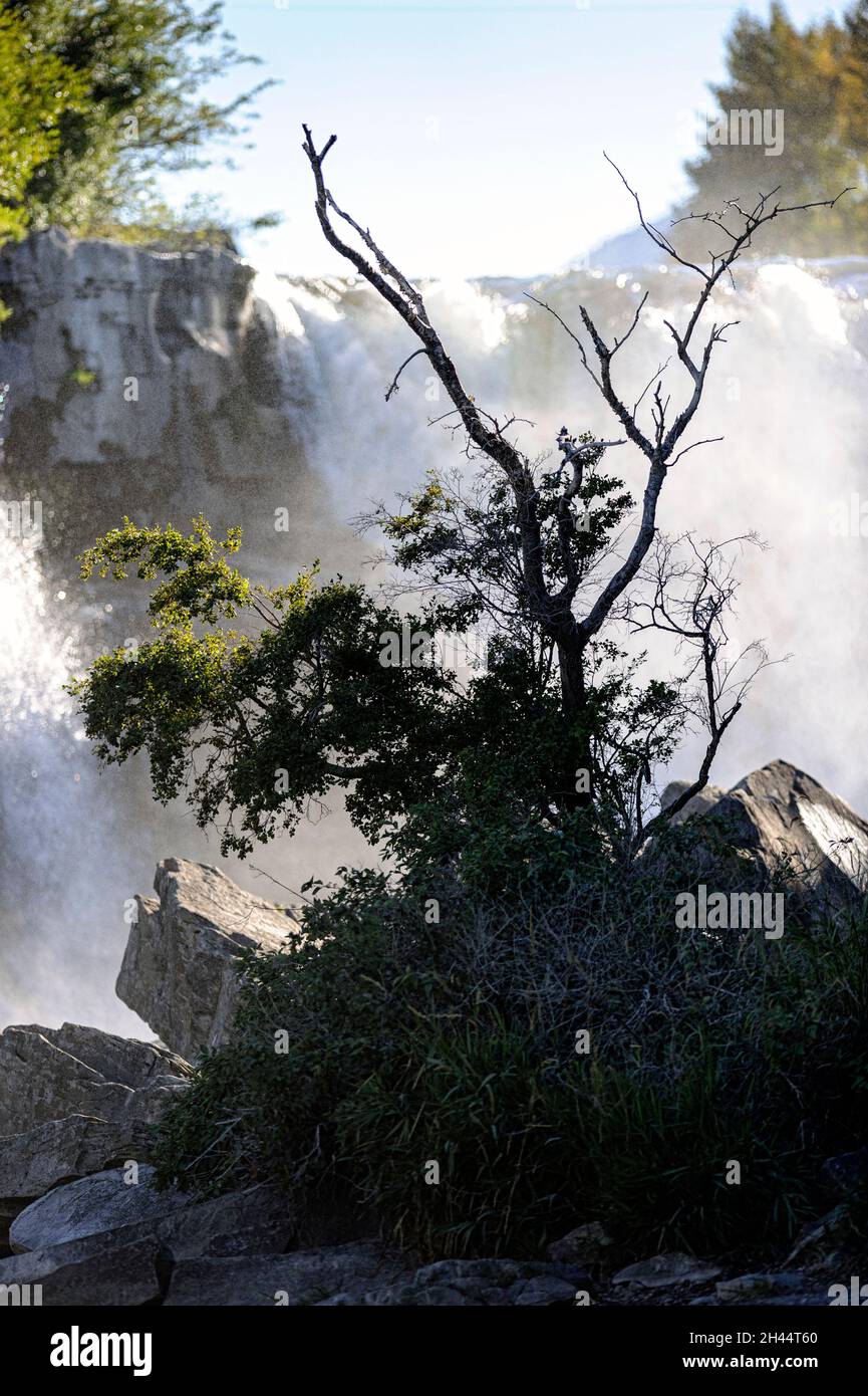 Cascate di Lundbreck, Crowsnest Pass. Alberta Canada Foto Stock