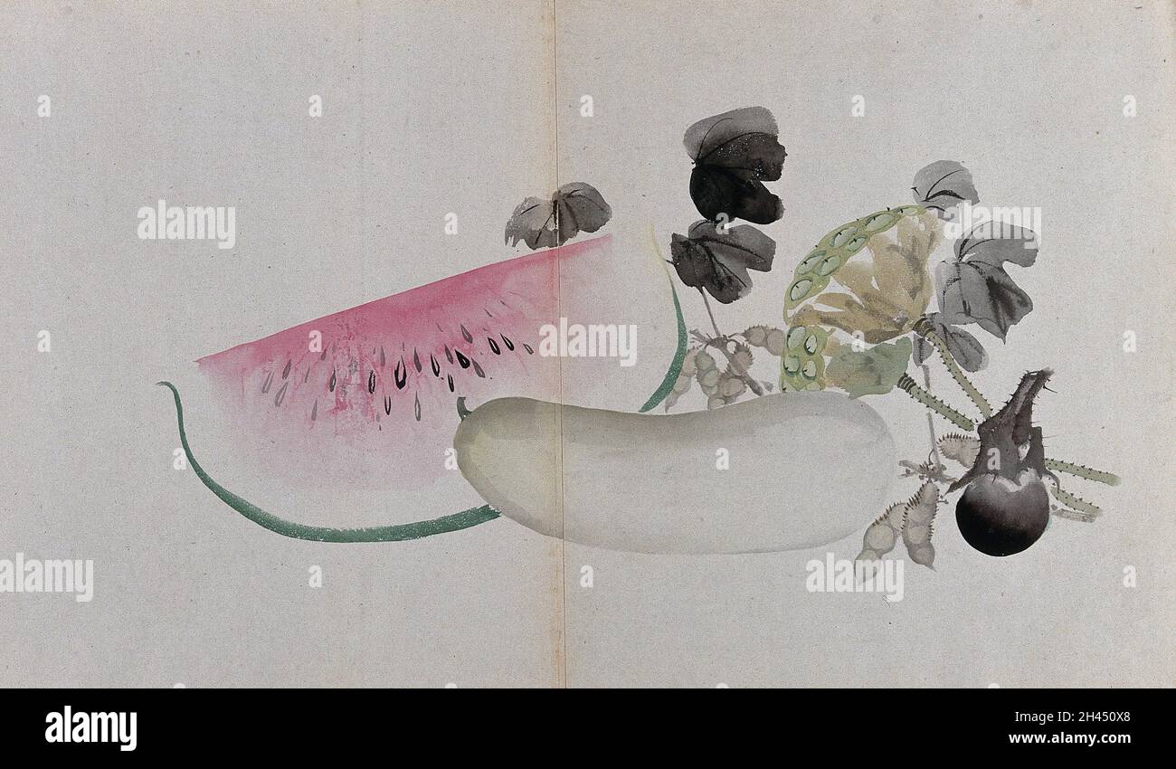 Acquerello del cocomero e di altri tipi di frutta e verdura, eventualmente squash, piselli o fagioli. Foto Stock