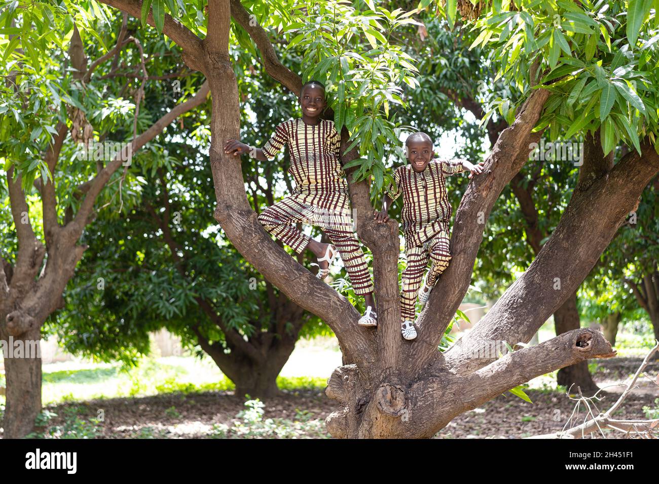 Due ragazzi neri sorridenti che si divertono a salire su un albero su una piantagione di mango dell'Africa occidentale Foto Stock