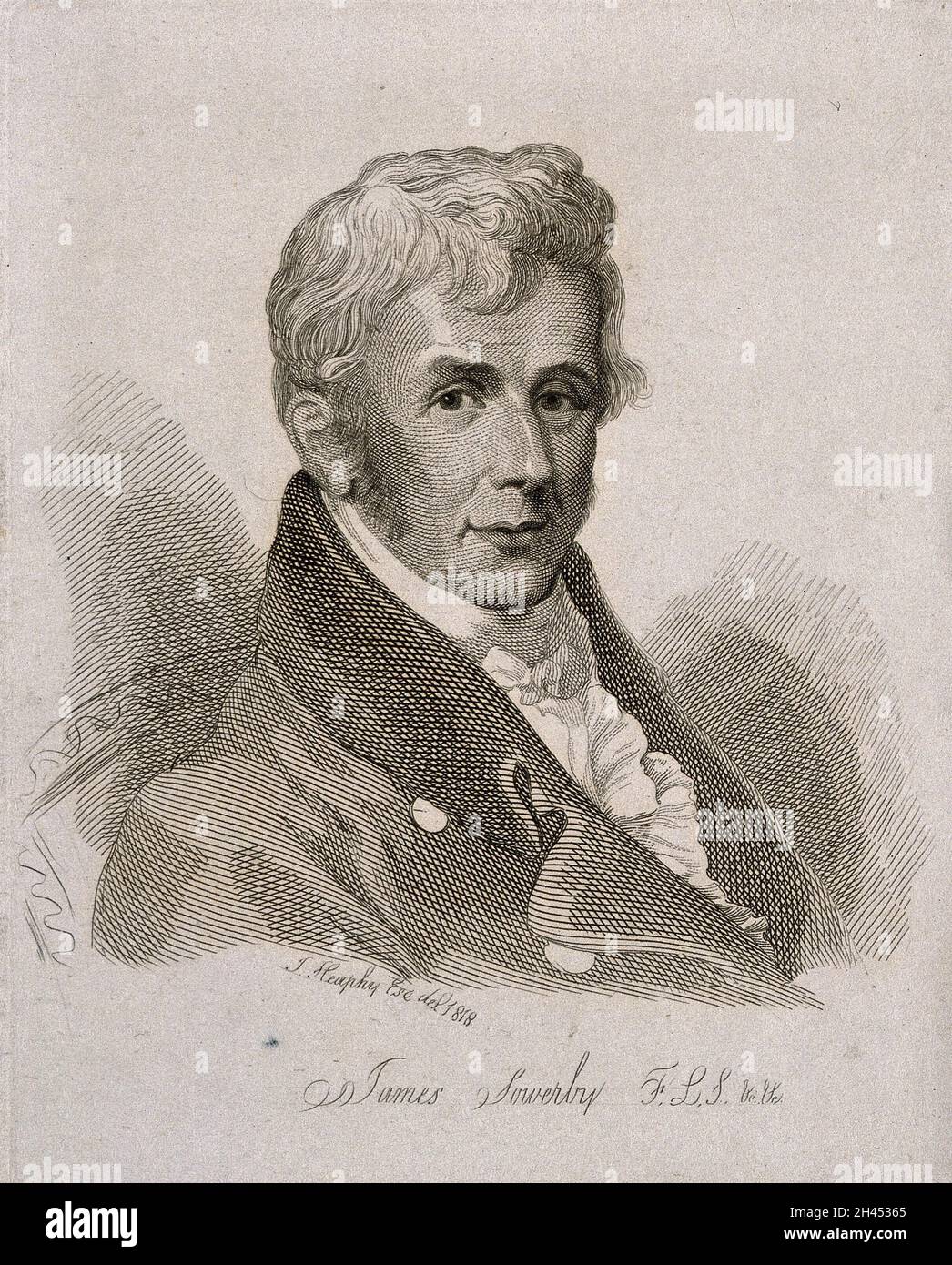 James Sowerby. Incisione di linea di D. Turner dopo T. Heaphy, 1818. Foto Stock