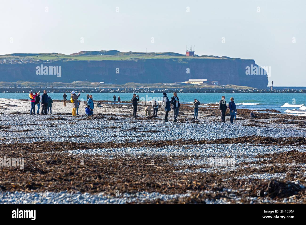 Persone in spiaggia, Düne, Heligoland Island, Schleswig-Holstein, Germania Foto Stock