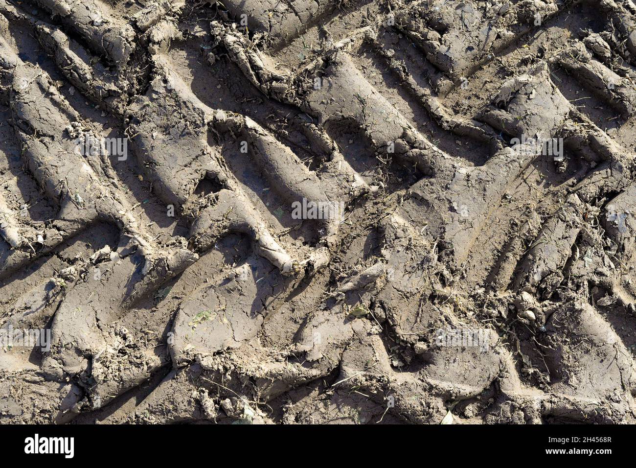 Cingoli degli pneumatici del trattore nel fango profondo Foto Stock