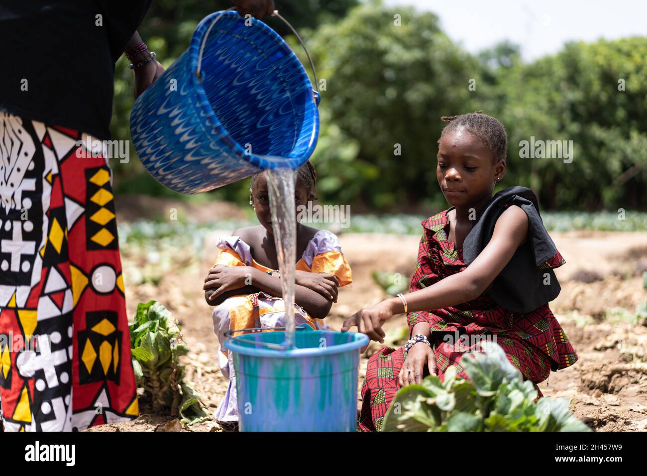 Ragazze africane nere che siedono in un campo asciutto, con un secchio che sta per essere riempito di acqua; concetto di shortness di acqua Foto Stock