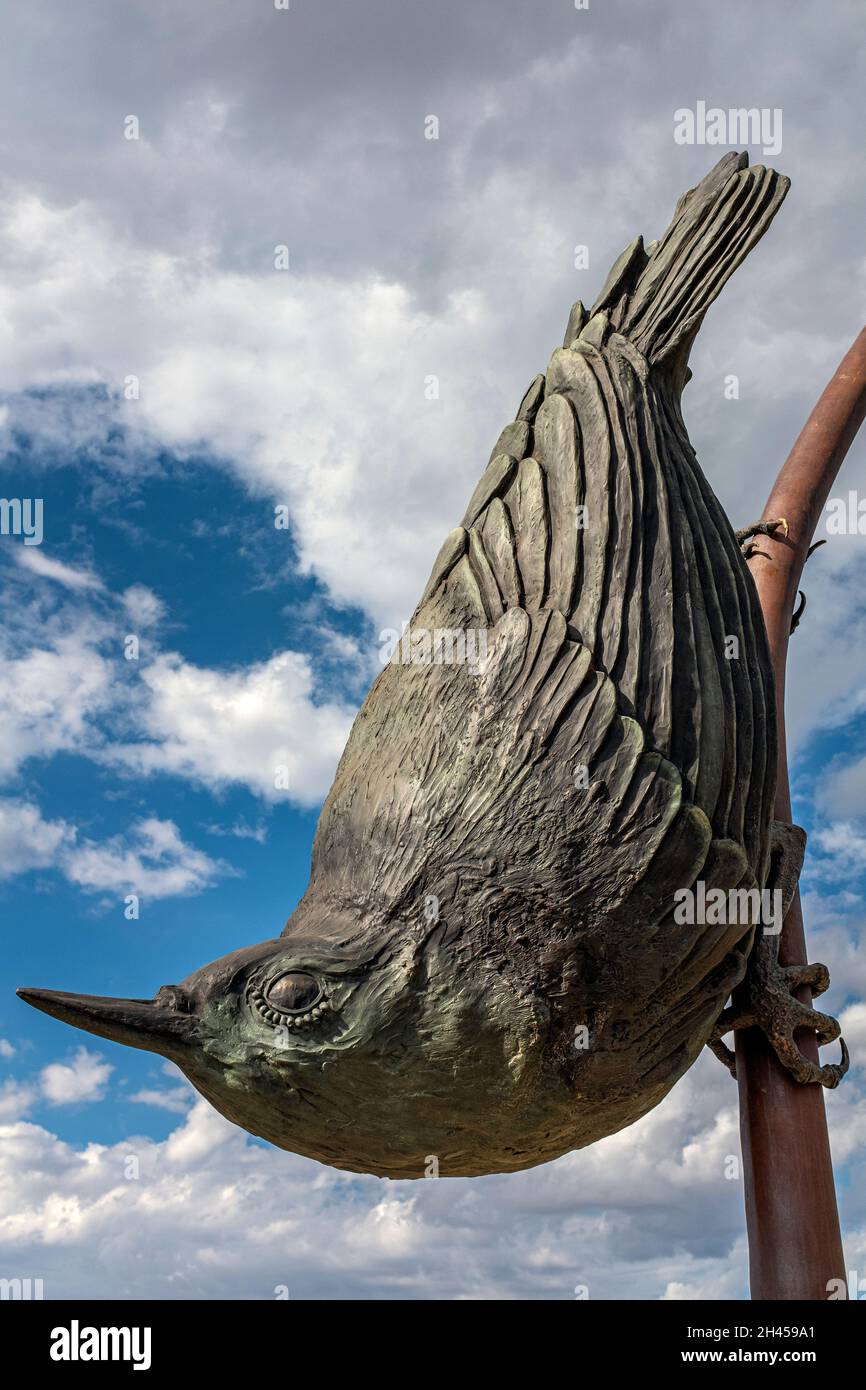 Bernalillo County, state of New Mexico Public Art Collection: 'Nuthatch' 2019 di Tim Mullane Foto Stock