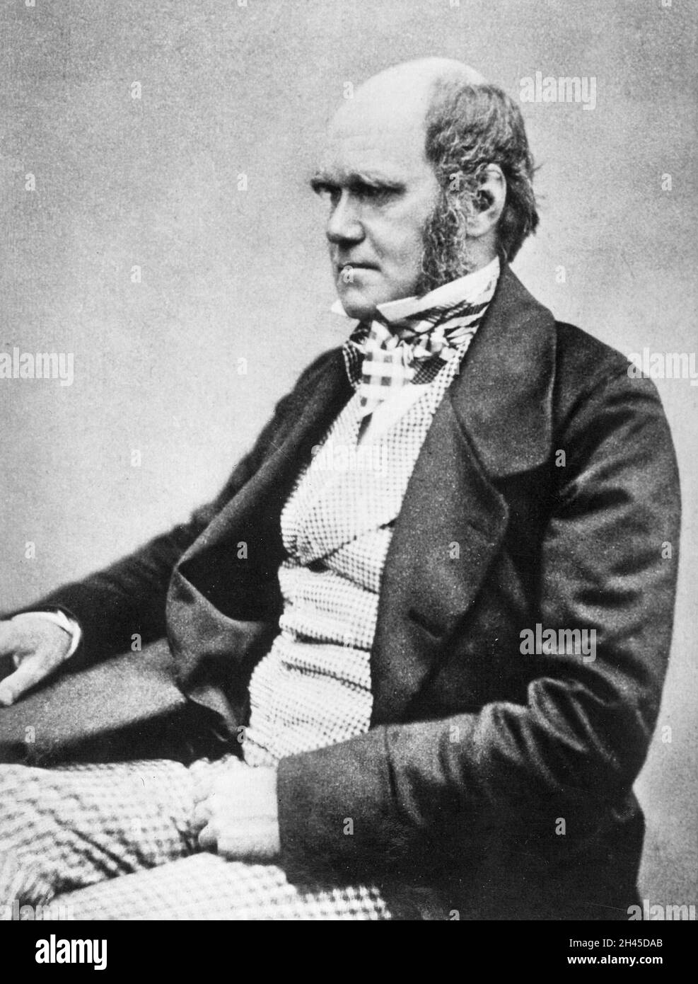 Un ritratto del biologo Charles Darwin che ha pionierato lo studio dell'evoluzione Foto Stock