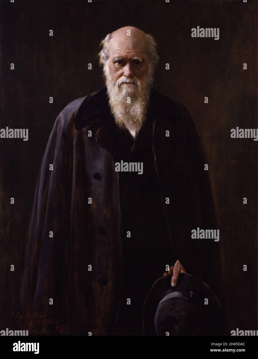 Un ritratto del biologo Charles Darwin che ha pionierato lo studio dell'evoluzione Foto Stock