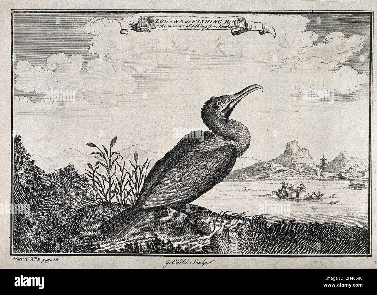 Un uccello da pesca siede su una roccia sulla riva di un fiume in Cina. Acquaforte di G. Child. Foto Stock