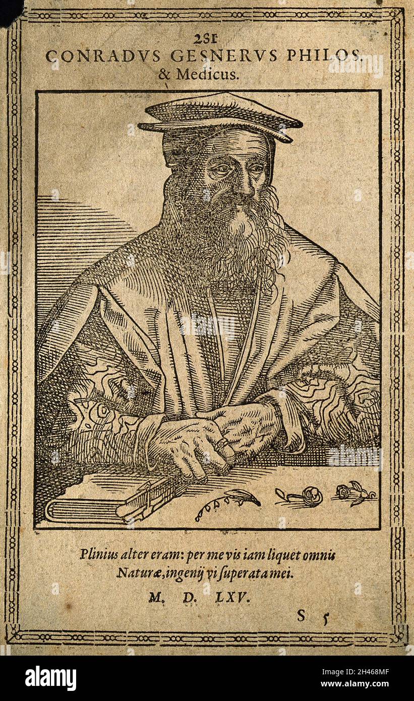 Conrad Gesner. Legno tagliato, 1565. Foto Stock