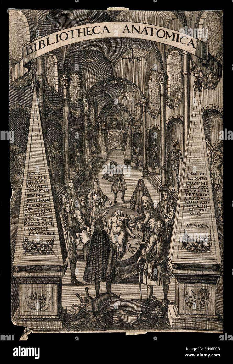 Una dissezione anatomica che si svolge in una sala decorata con musclemani e scheletri umani e animali in nicchie. Incisione con incisione, 1685. Foto Stock