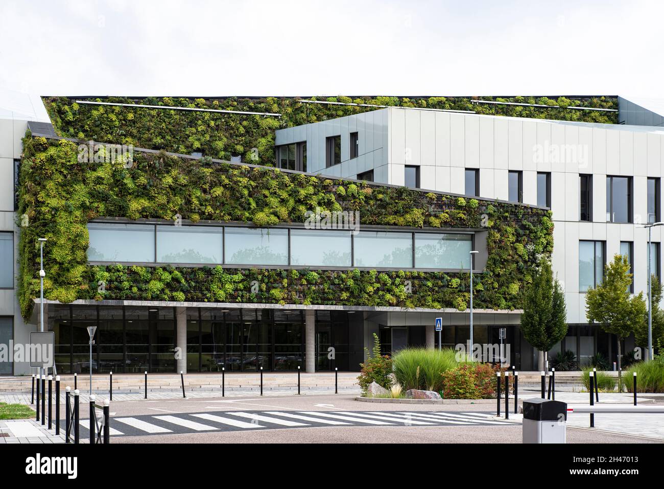 Muro verde dell'ospedale di Strasburgo, Francia Foto Stock