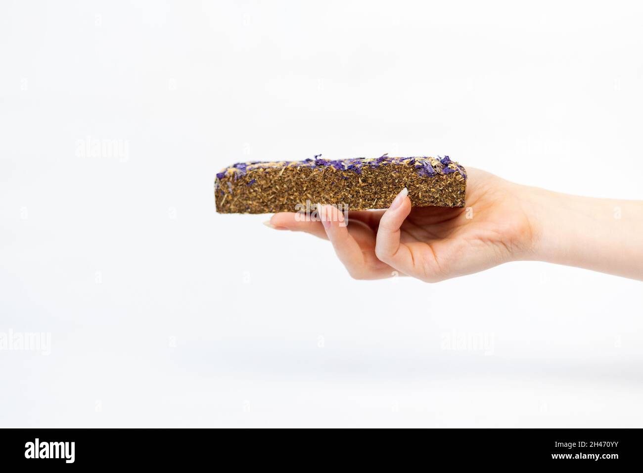 La mano di una donna contiene un pellet secco per l'alimentazione degli animali domestici. Sfondo bianco. Primo piano. Il concetto di una dieta equilibrata per gli animali domestici. Foto Stock