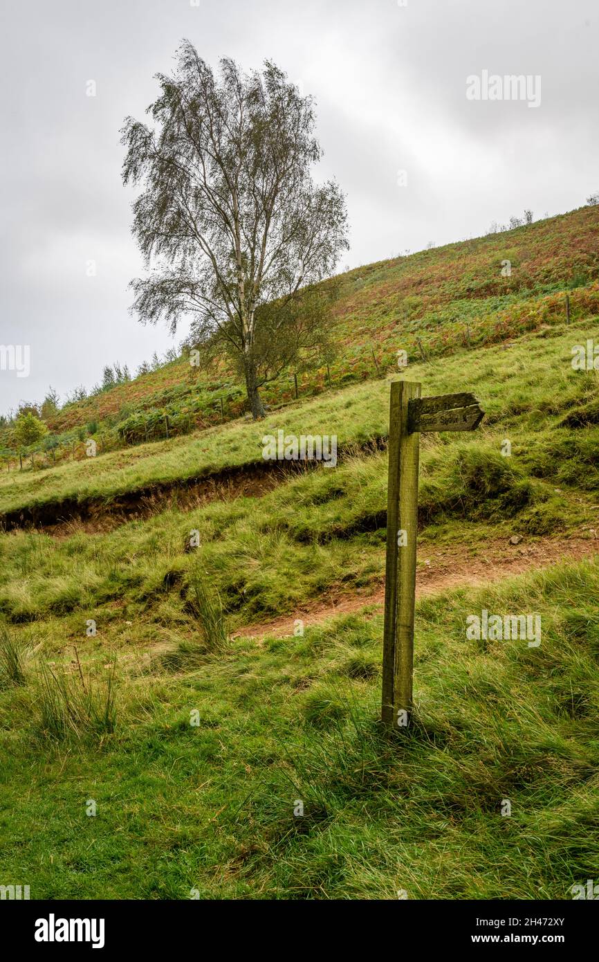 Walking Route Fingerpost su Moorland Foto Stock