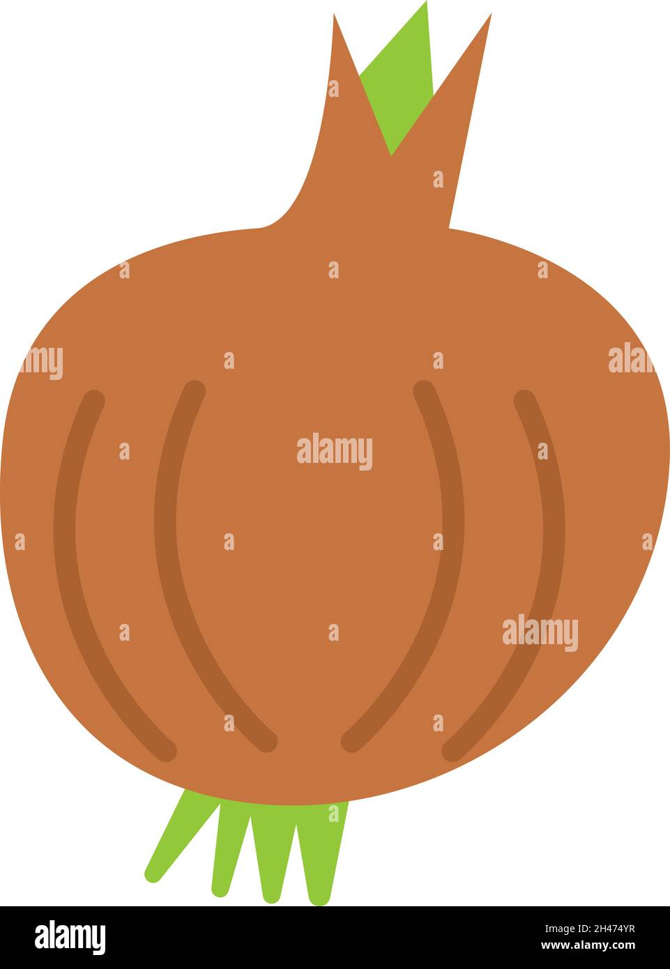 Una cipolla, illustrazione, vettore, su sfondo bianco. Illustrazione Vettoriale