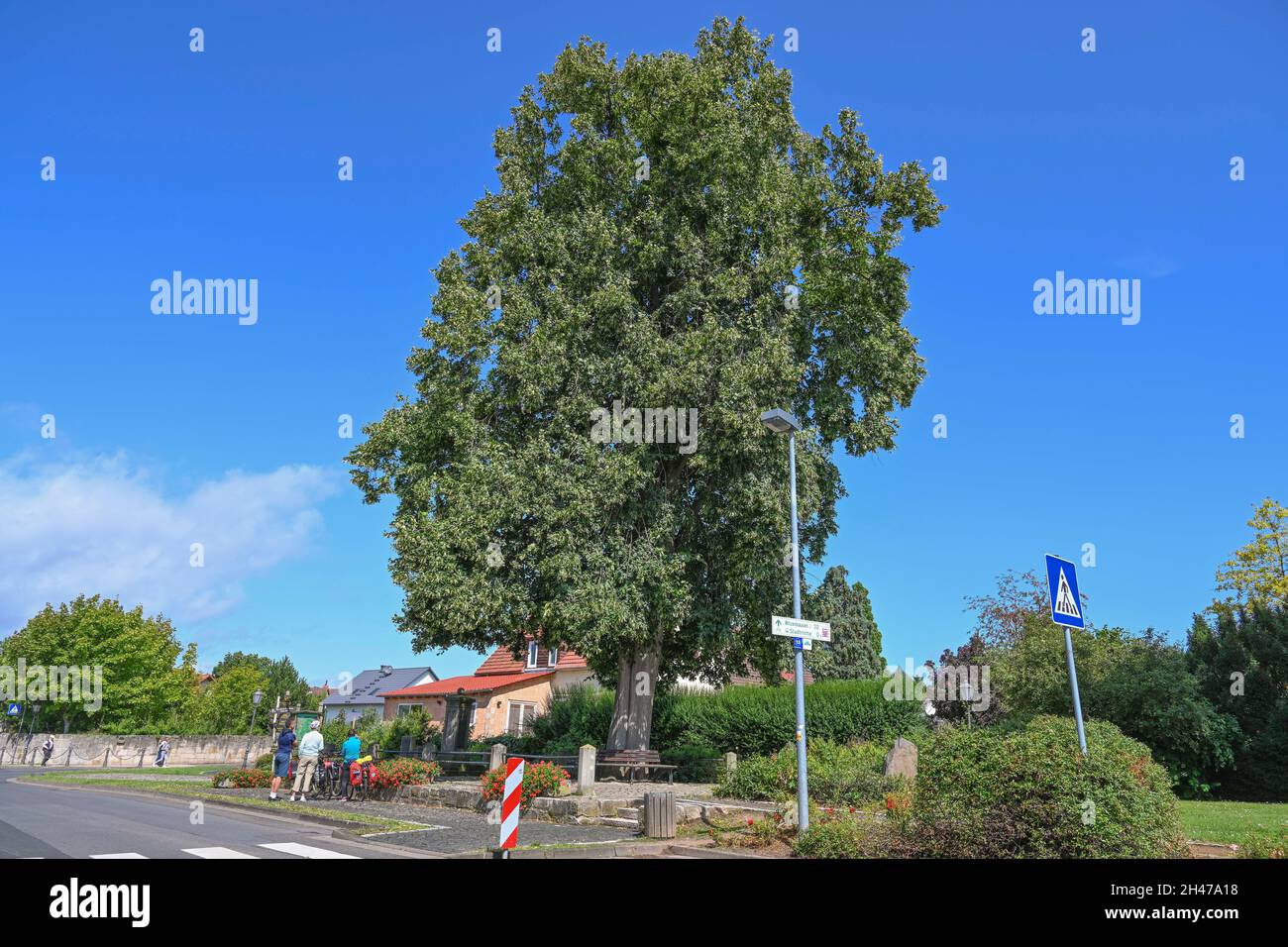 Brunnen vor dem Tore, Lindenbaum, Ort des Liedes von Franz Schubert, Bad Sooden-Allendorf, Hessen, Deutschland Foto Stock