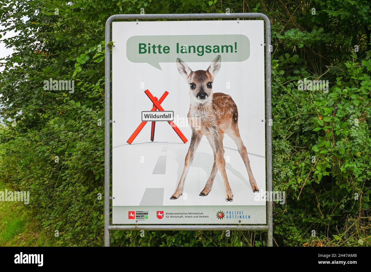 Warnschild Wildwechsel, Rehkitz, langsam, Niedersachsen, Germania Foto Stock