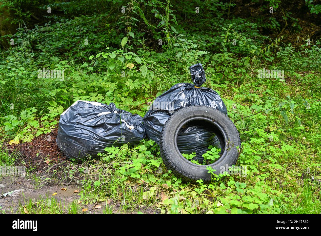Illegale Müllentsorgung, Parkplatz, Wald, Ordnungswedrigkeit, Niedersachsen, Germania Foto Stock