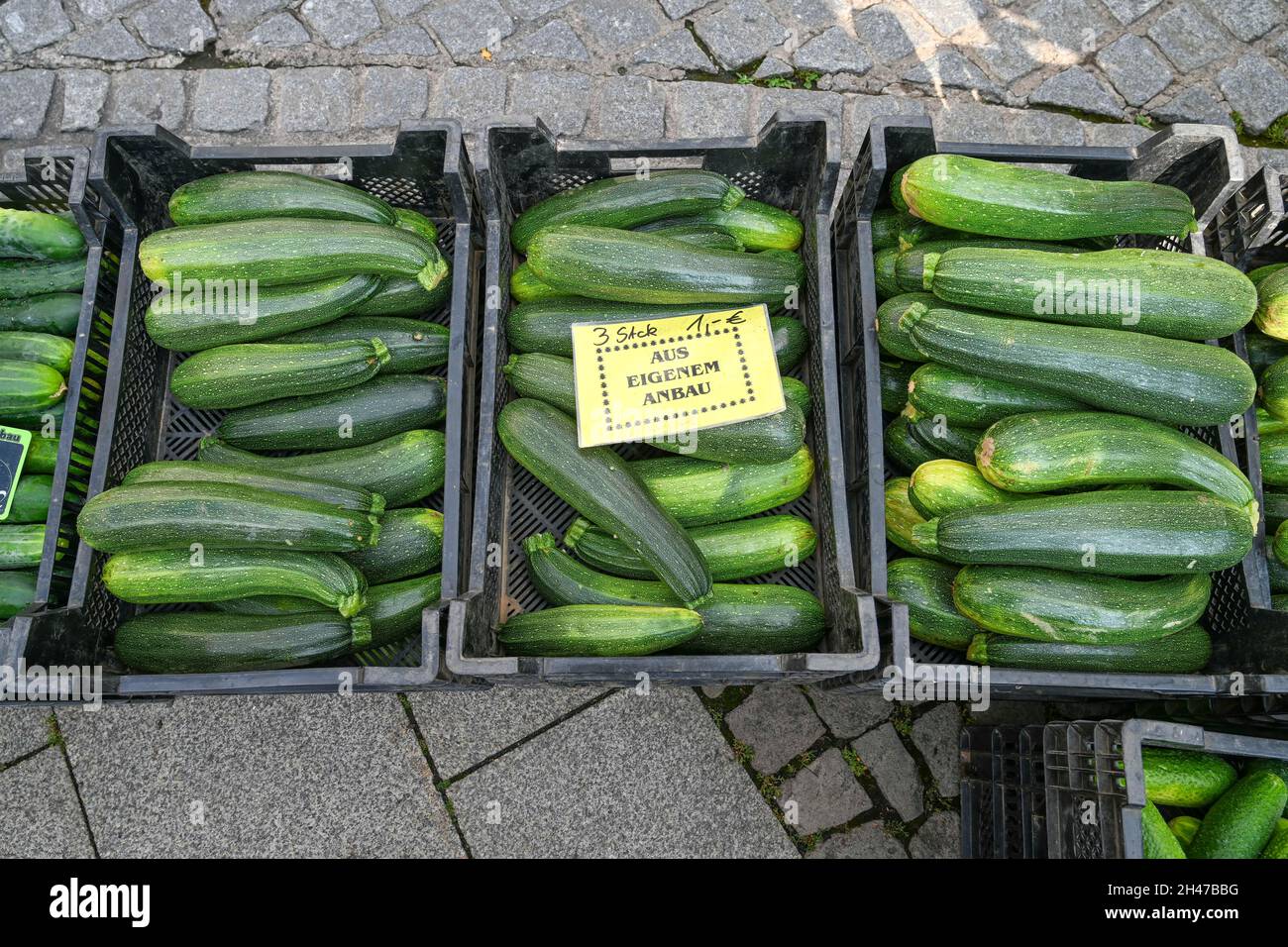 Zucchine, Markt Kisten, Germania Foto Stock