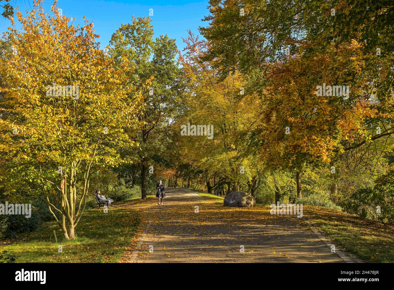 Herbst, Spaziergänger nahe Fennsee, Volkspark Wilmersdorf, Charlottenburg-Wilmersdorf, Berlino, Germania Foto Stock