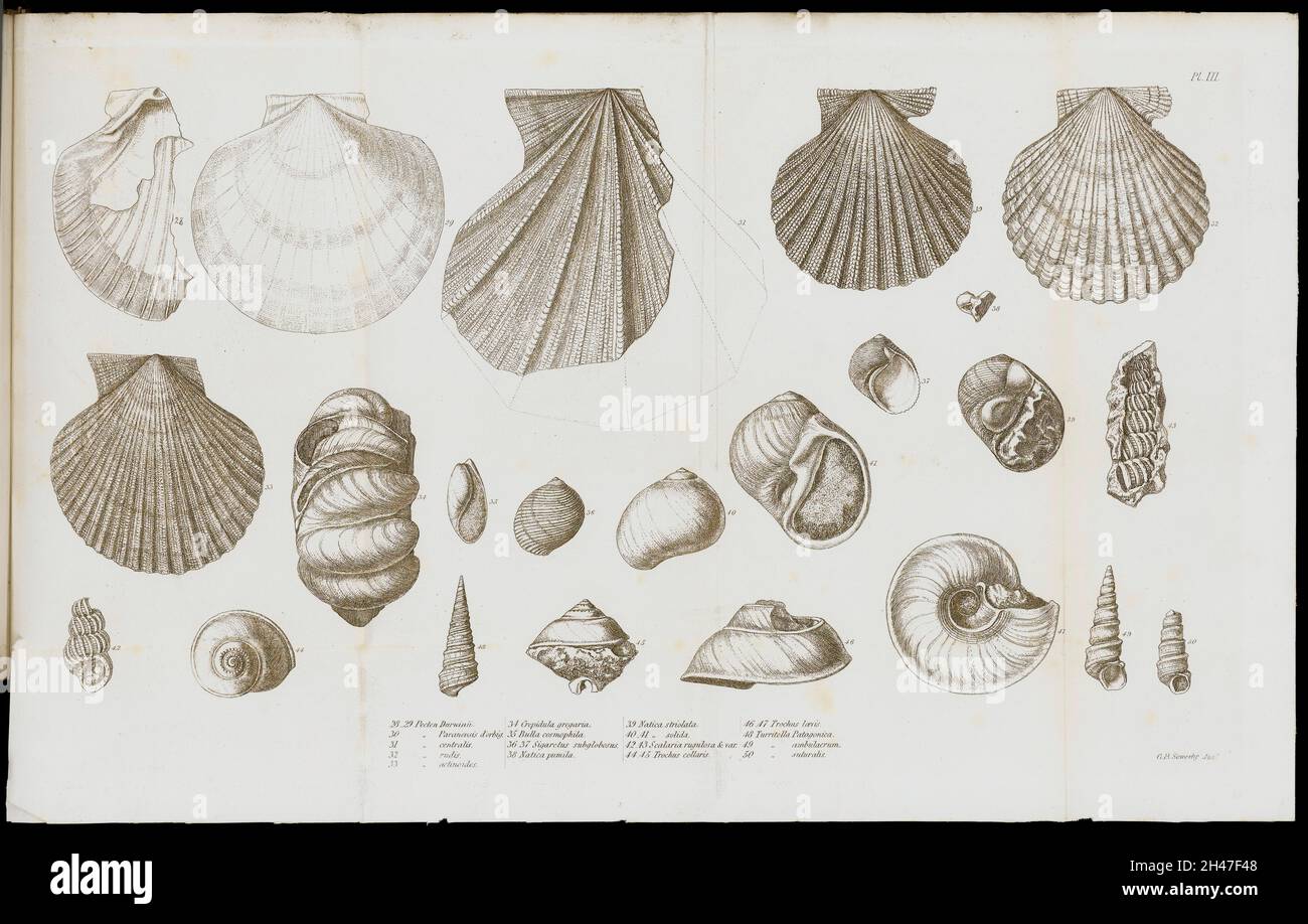 Illustrazione di un frammento di una bomba vulcanica sferica. Foto Stock