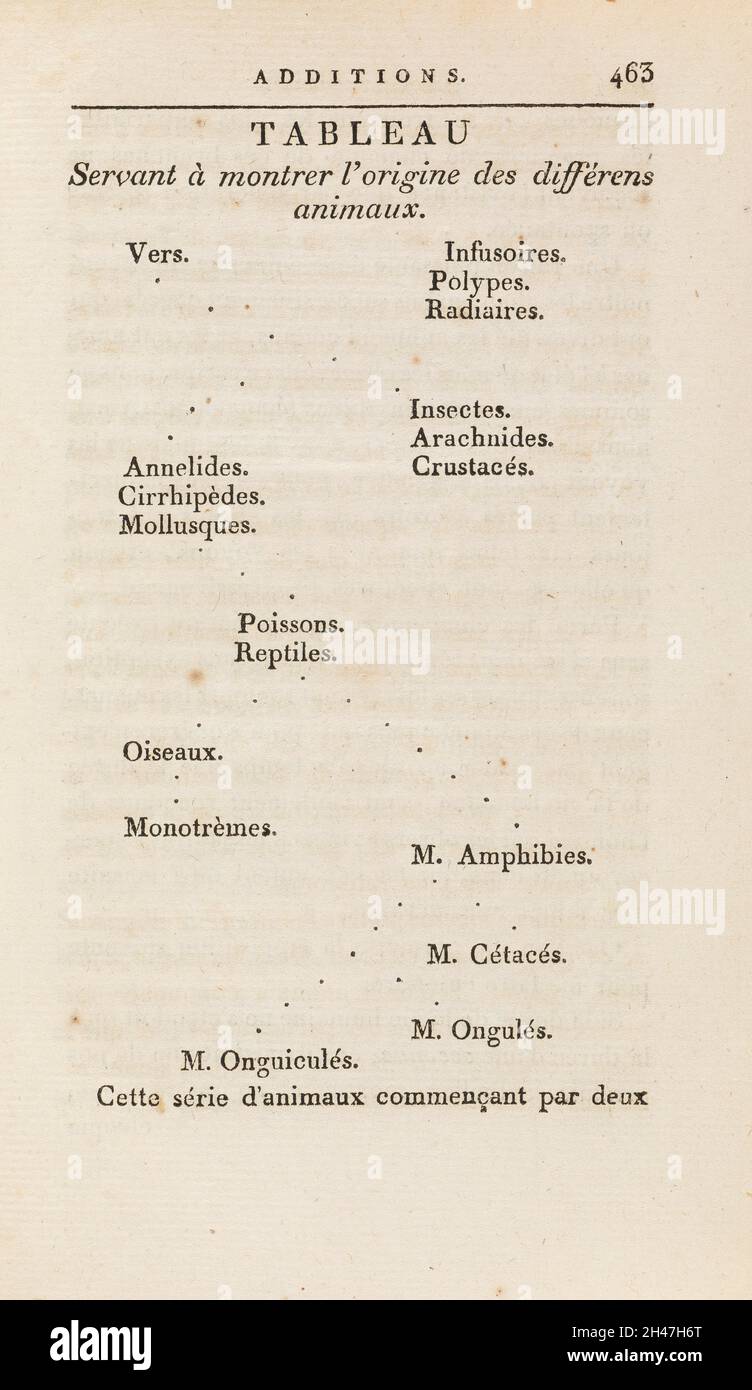 Un albero filogenetico. Philosophie zoologique, 1809. Foto Stock