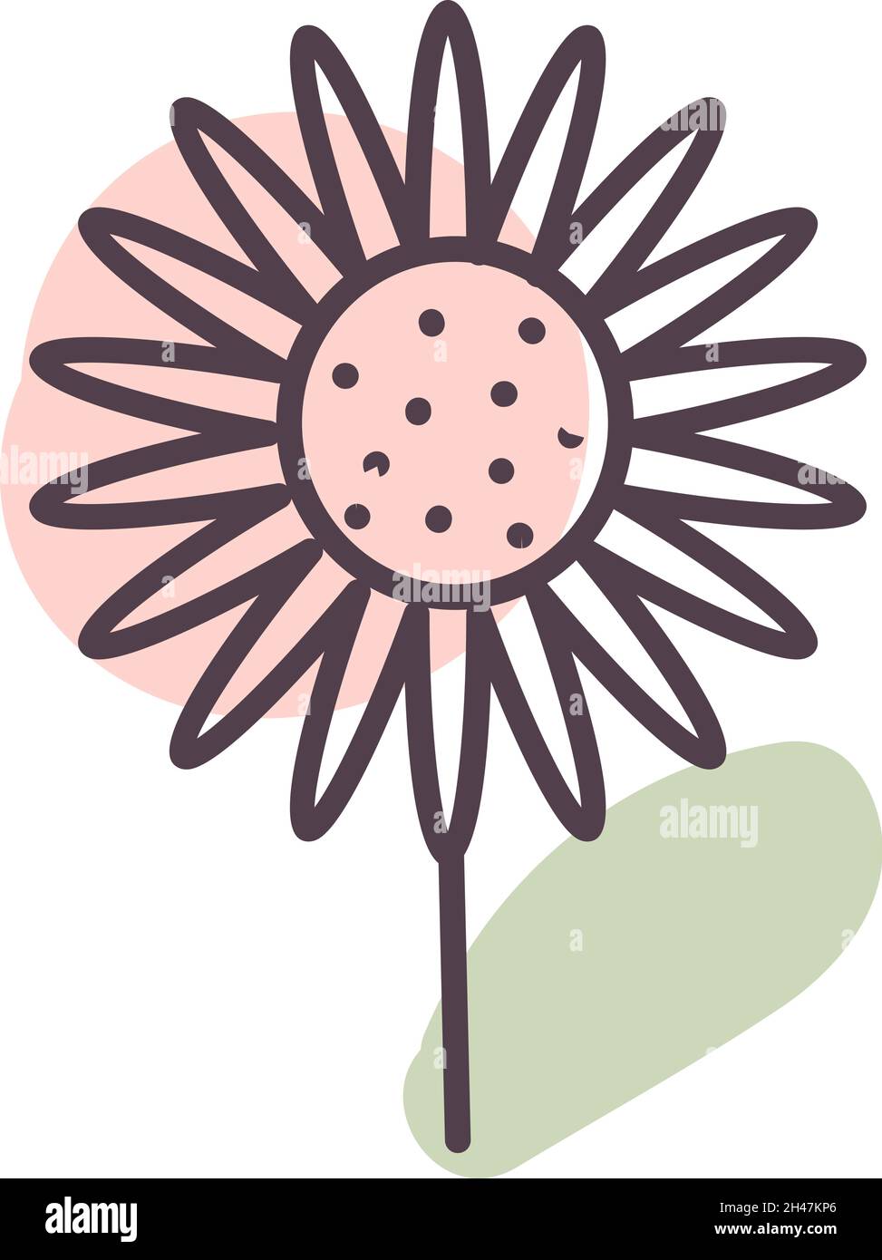 Fiore con petali di pensiero, illustrazione, vettore, su sfondo bianco. Illustrazione Vettoriale