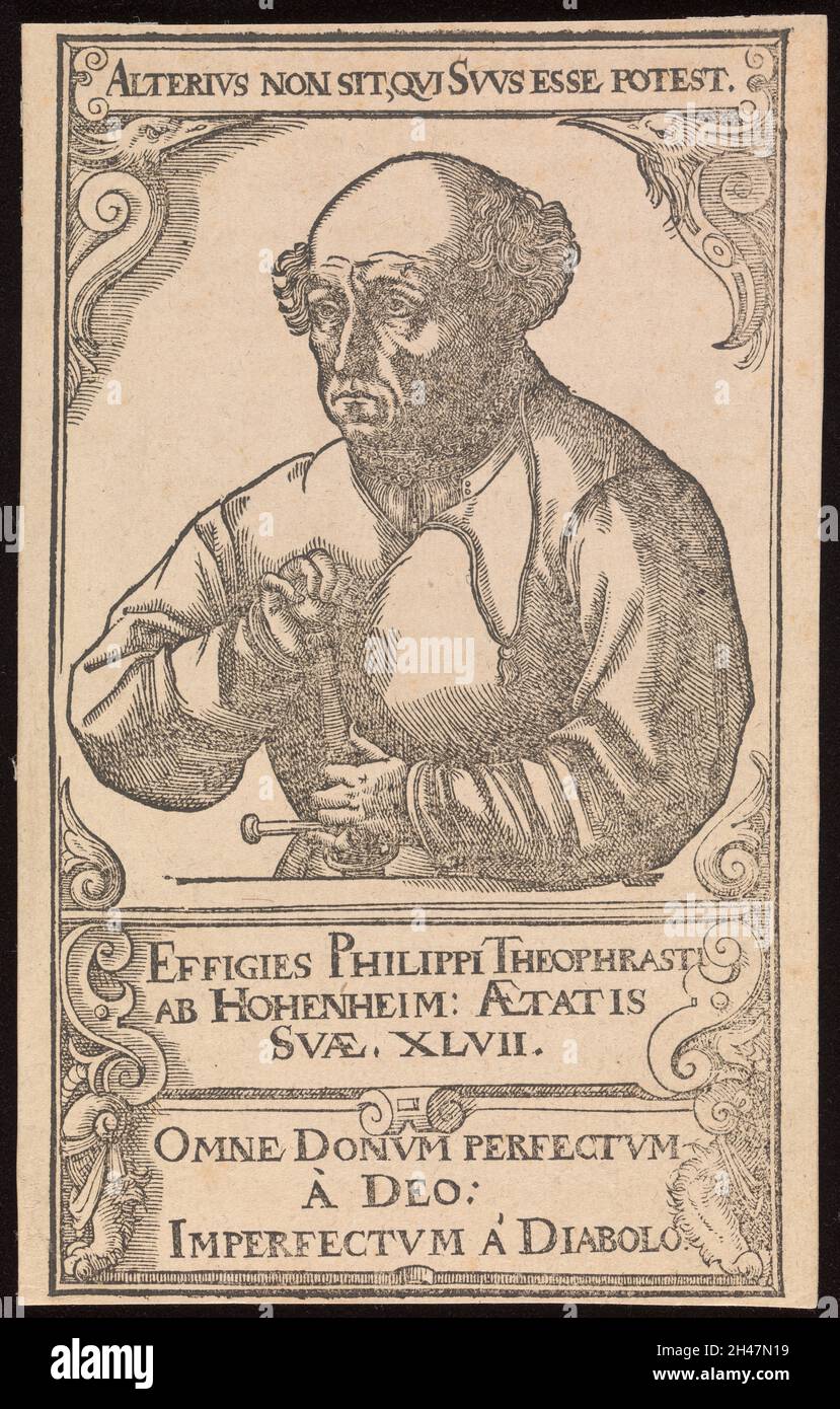 Hohenheim [Paracelsus]. Legno tagliato, 1540. Foto Stock
