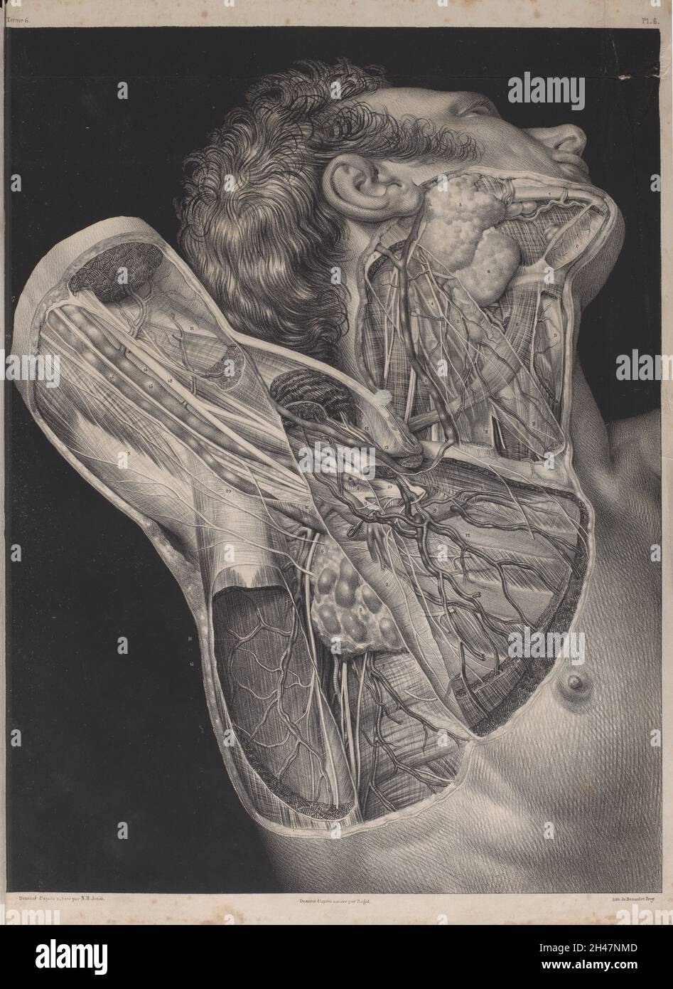 Piastra 6, anatomia chirurgica dell'ascella. Foto Stock