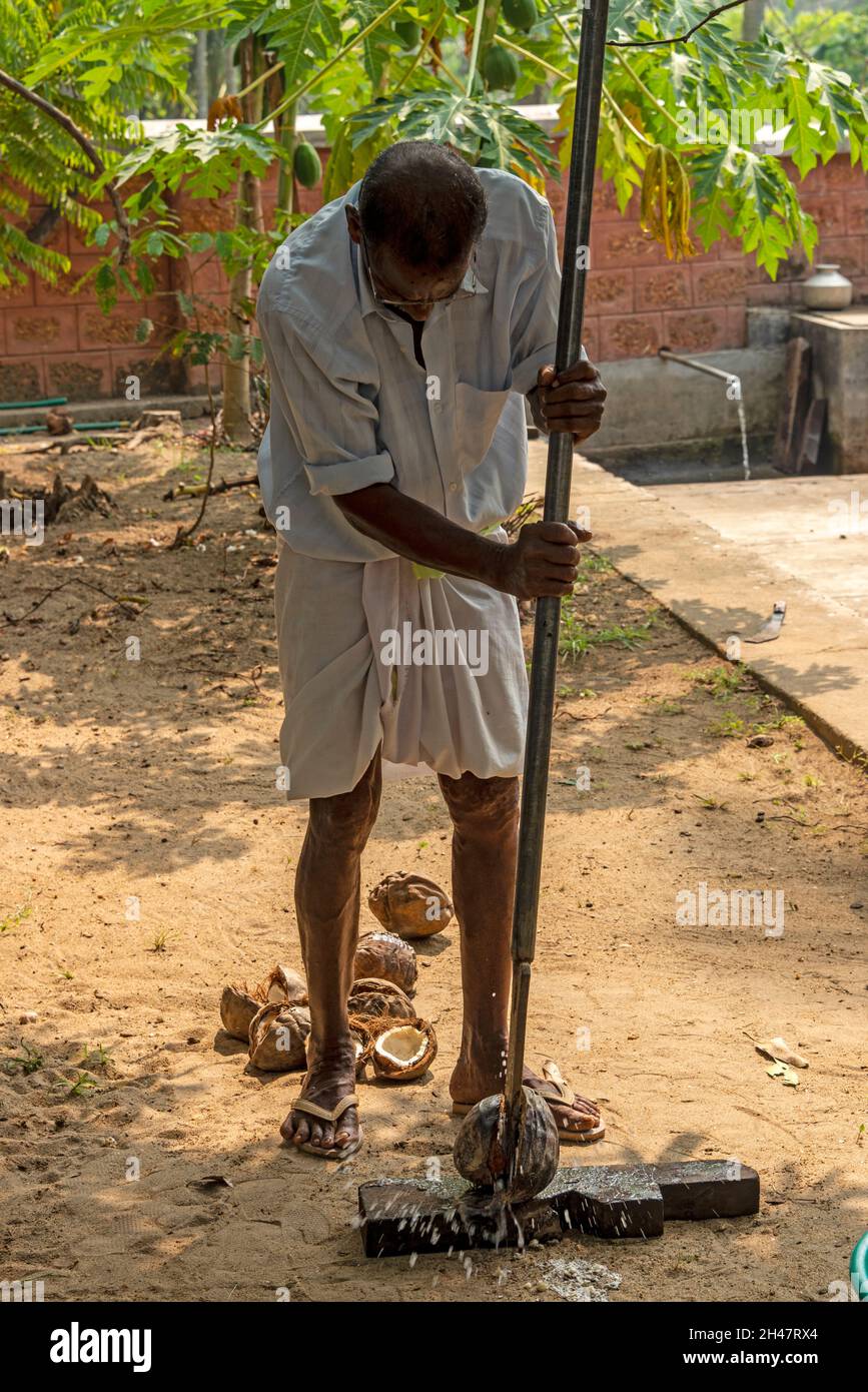 Un dipendente indiano che utilizza un lungo strumento per affettare, spaccare vecchie bucce di cocco prima di tagliarle in piccole fette presso la fattoria di Philipkutty, una vacanza di lusso Foto Stock
