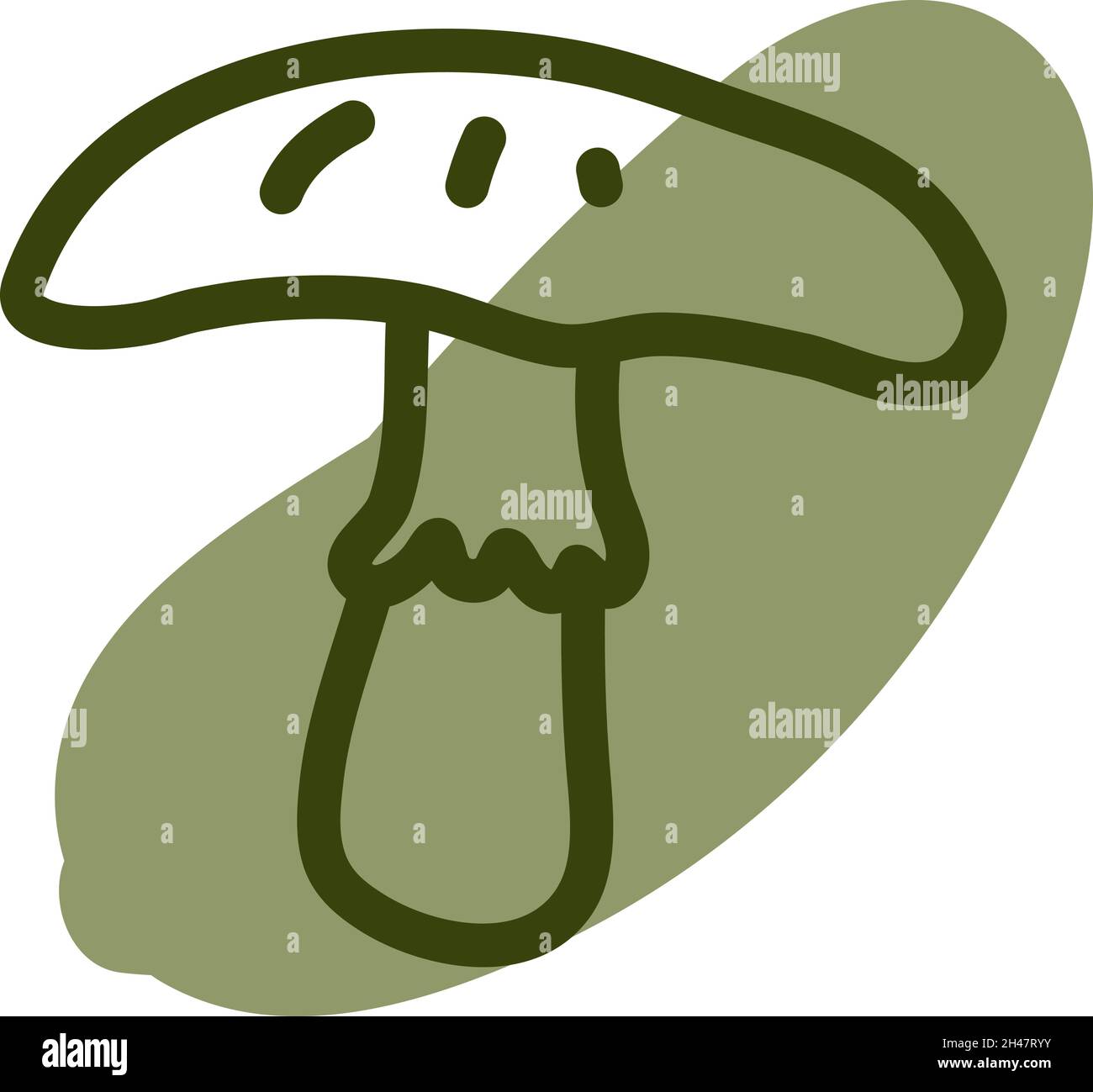 Fungo bianco selvatico, illustrazione, vettore, su sfondo bianco. Illustrazione Vettoriale