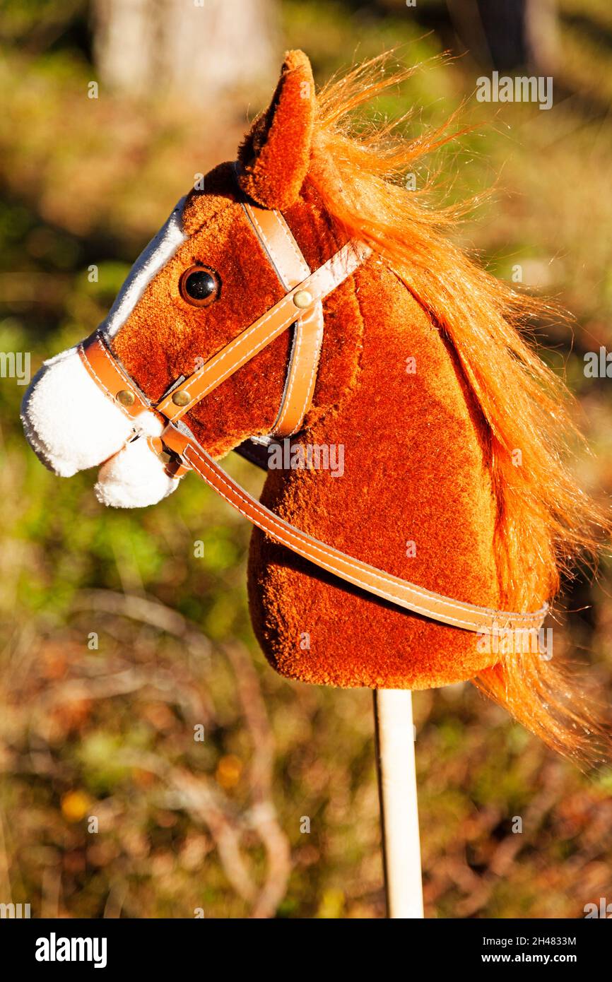 un cavallo di bastone marrone con cui giocare Foto Stock