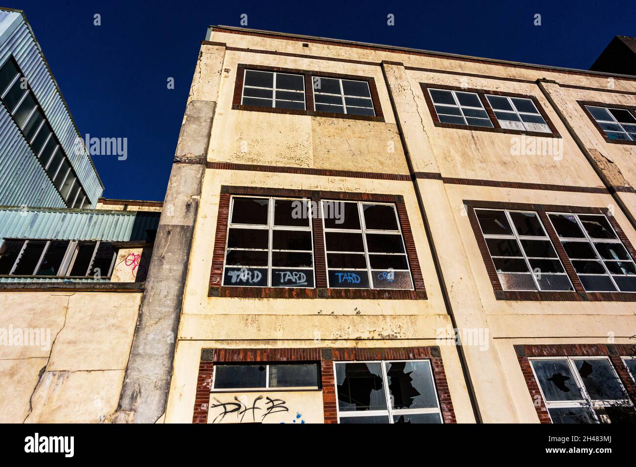 Dettaglio esterno di smash Windows al pericoloso, Derelict Torridge vale Milk Factory con Graffiti contro un Vivid Blue Sky, Great Torrington, Foto Stock