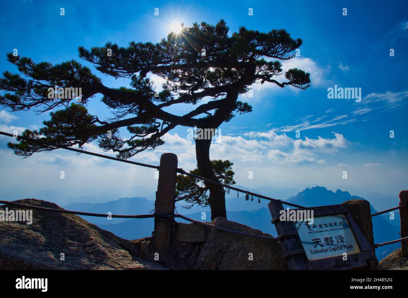 Il sole splende sulle cime dei pini. Il posto migliore per la fotografia. Paesaggio del Monte Huangshan (montagna gialla). Sito patrimonio dell'umanità dell'UNESCO. Foto Stock