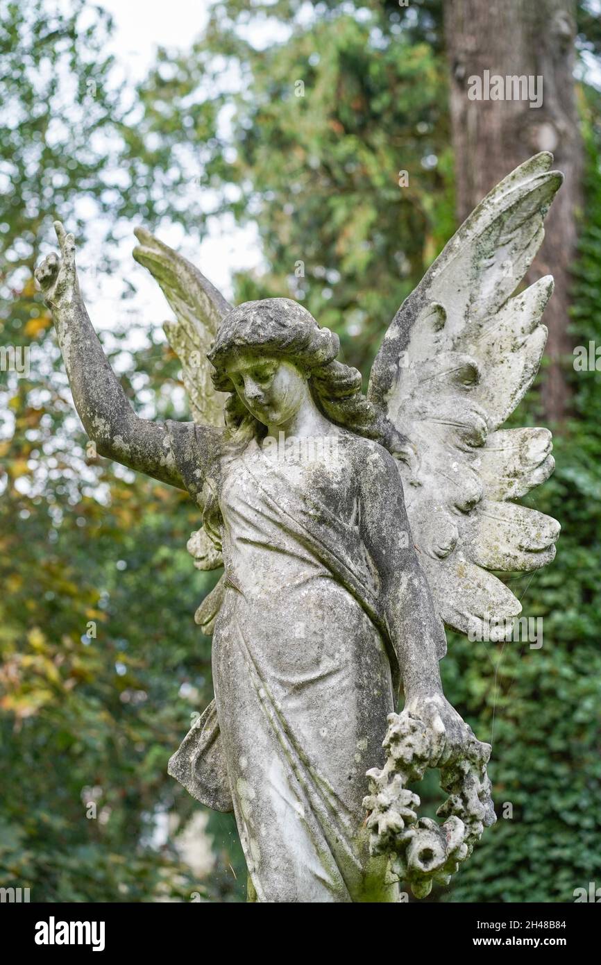 Vista frontale della statua commemorativa dell'angelo in pietra con ali, isolata in un cimitero della chiesa del Regno Unito. Foto Stock