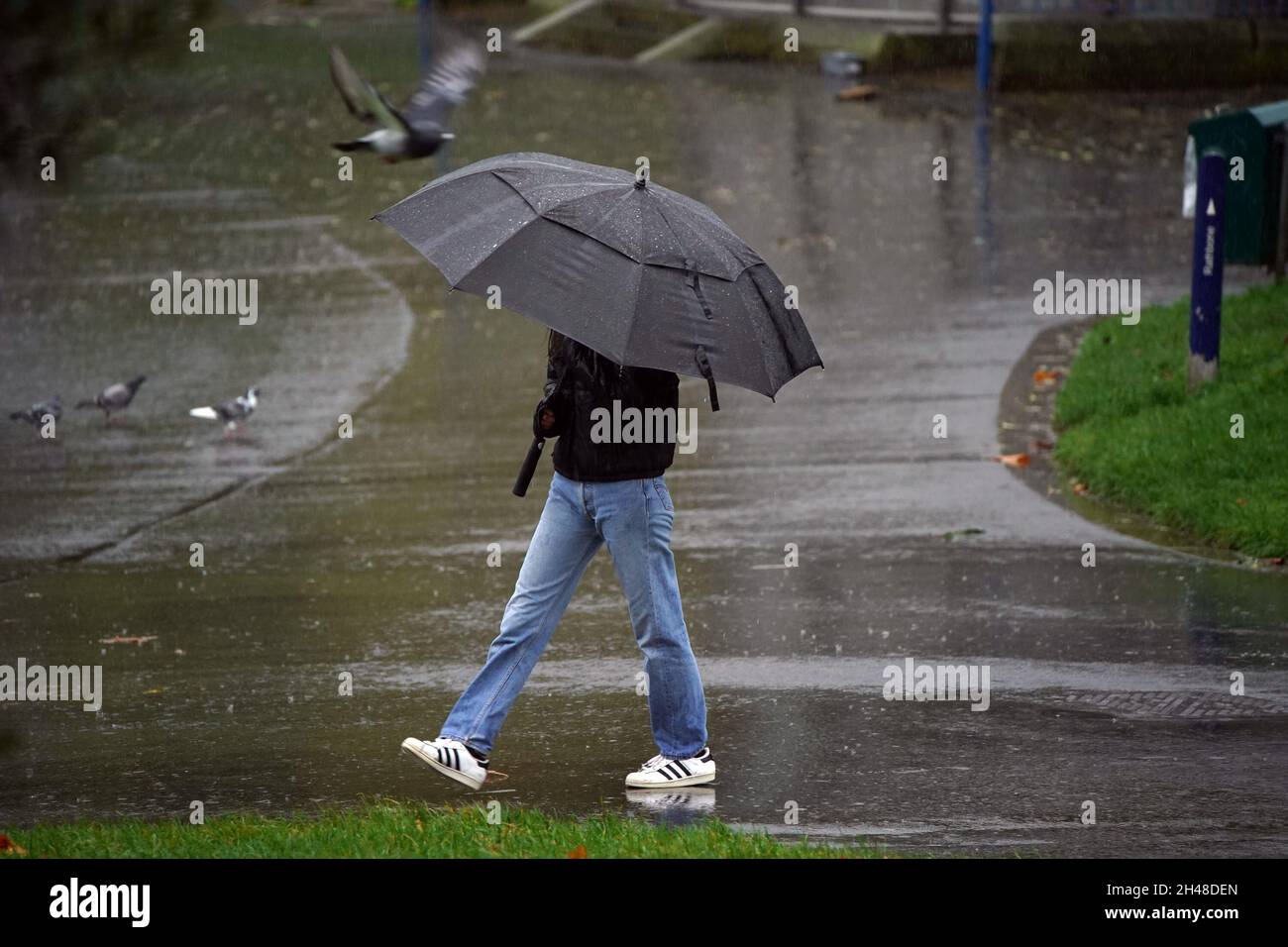 Un uomo tiene un ombrello in forte pioggia a Sefton Park, Liverpool, Merseyside. Data foto: Lunedì 1 novembre 2021. Foto Stock