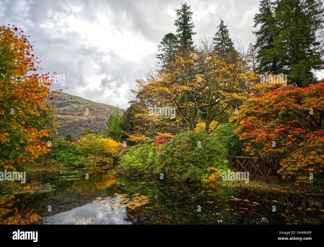 Benmore Botanic Garden Foto Stock