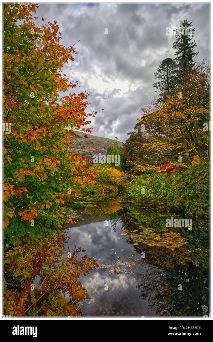 Benmore Botanic Garden Foto Stock